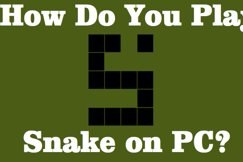 How do you play Snake on PC