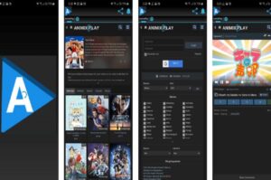 What's Animixplay. To