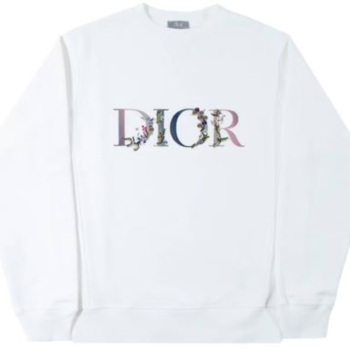 Dior Hoodie: A New Fashion Style
