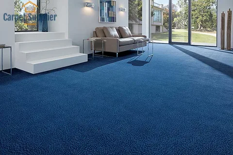 blue carpet