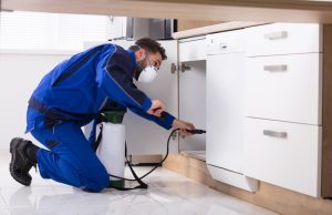 affordable pest control