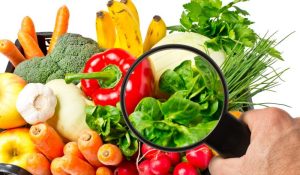 HACCP Certification