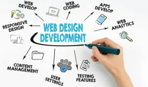 Web Design and Development Services