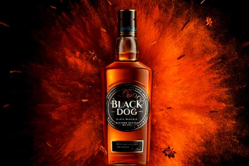 Black-Dog-Price-In-India