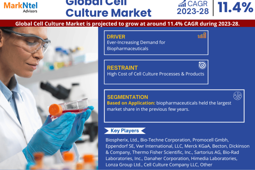Cell Culture Market