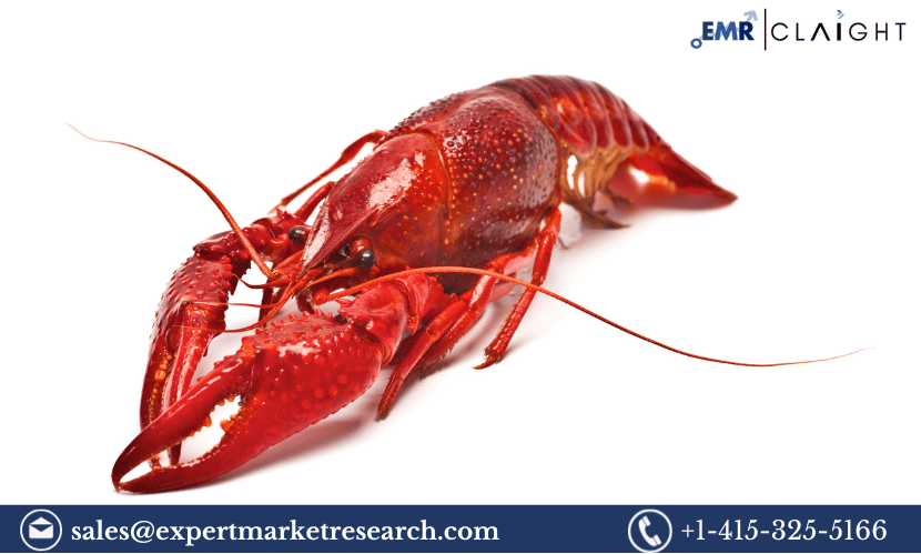 Crayfish Market