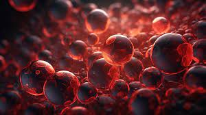 Stem Cell Therapy in Brooklyn