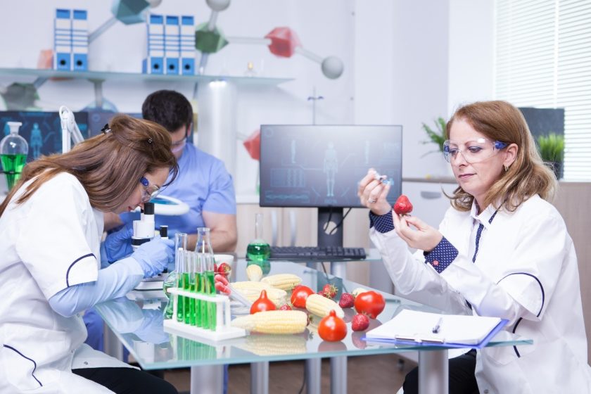 haccp training course