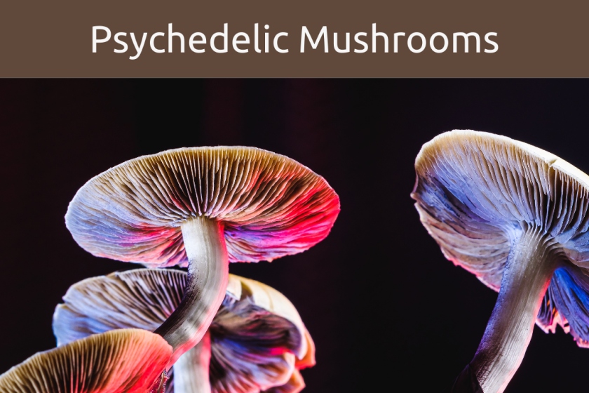 psychedelic mushrooms