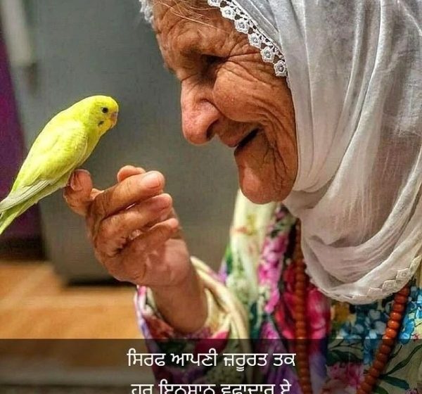 Good Morning Images and Pictures: Brightening Every Day