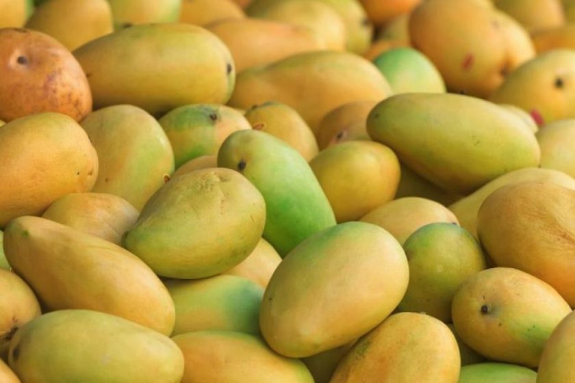 Mango Companies in Pakistan
